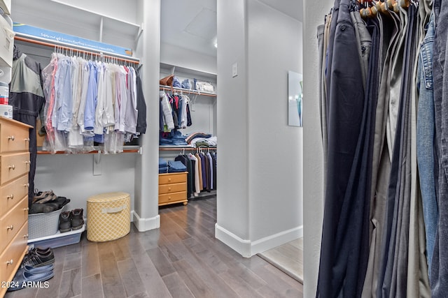 spacious closet featuring wood-type flooring