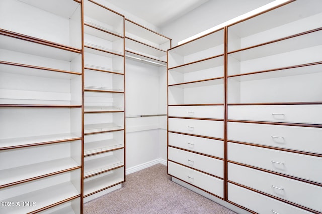 spacious closet with light colored carpet