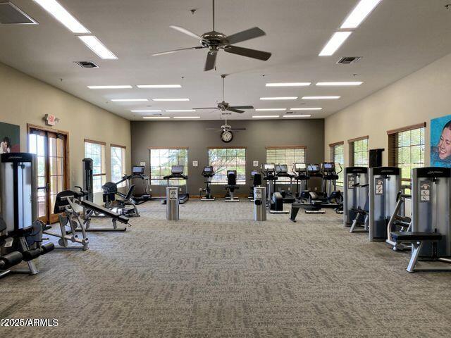 exercise room with visible vents, a high ceiling, carpet, and a ceiling fan