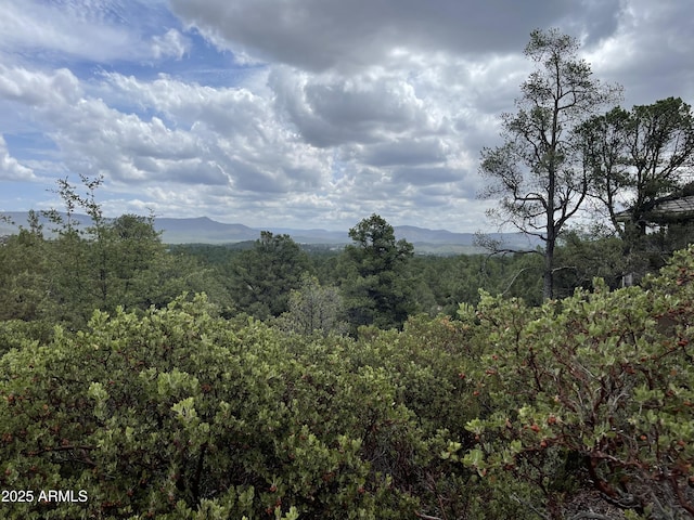 606 N Grapevine Dr Unit 423, Payson AZ, 85541 land for sale