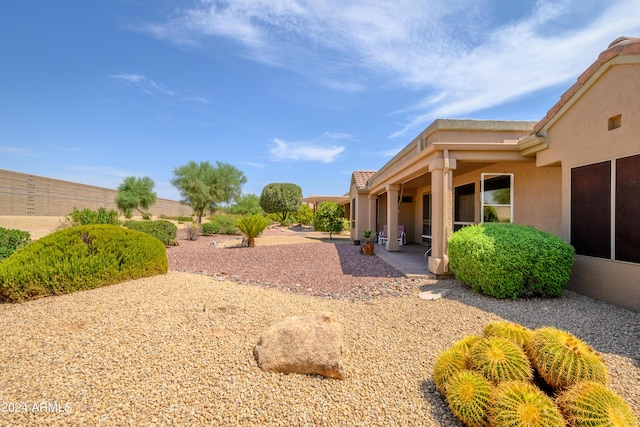 view of yard with a patio area