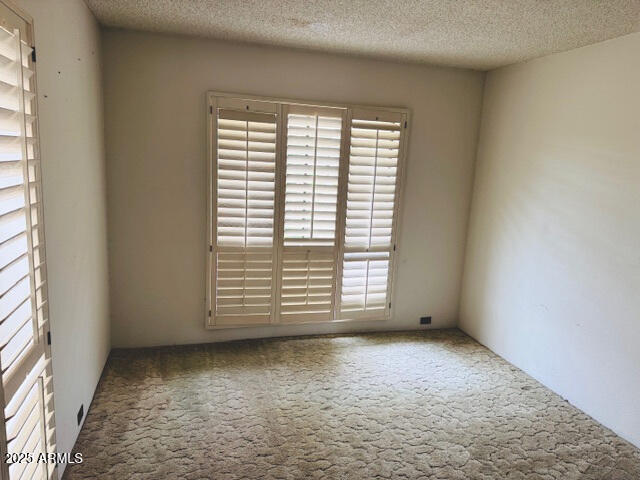 4727 E Euclid Ave, Phoenix, AZ 85044 - unfurnished room featuring healthy amount of natural light, carpet floors, and a textured ceiling