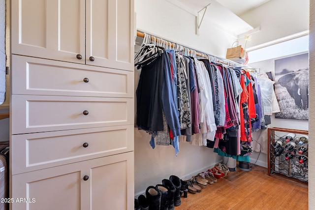 walk in closet featuring wood finished floors