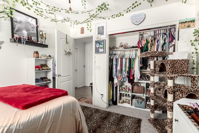 2223 S Hughes Dr, Buckeye, AZ 85326 - bedroom featuring a closet and carpet