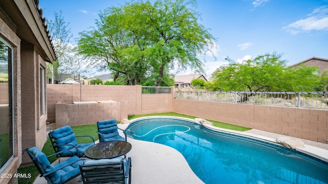 view of swimming pool with a fenced backyard