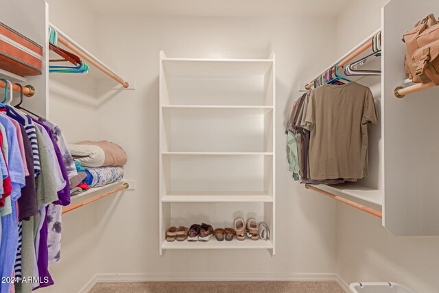 spacious closet with carpet