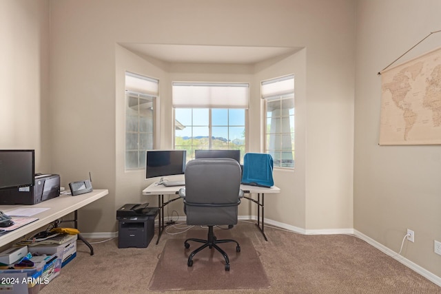 home office with carpet