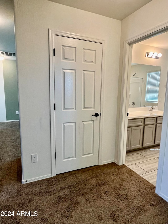 interior space featuring light carpet and sink