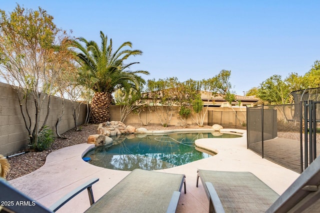 view of swimming pool with a patio area