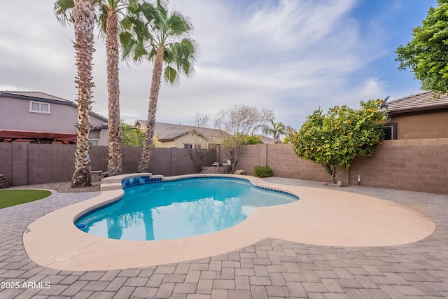 view of pool with a patio