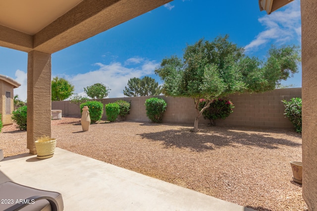 view of yard featuring a patio area