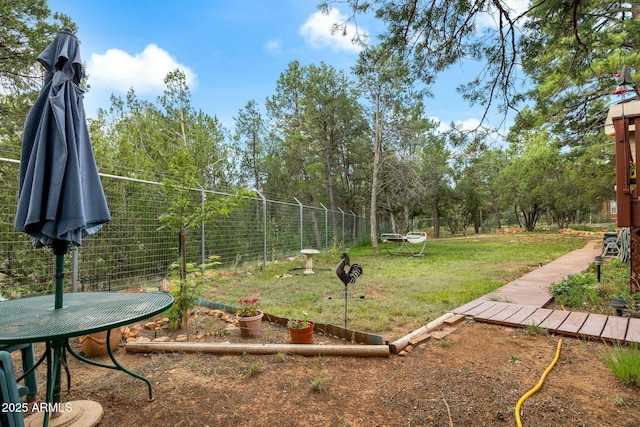 view of yard featuring a trampoline