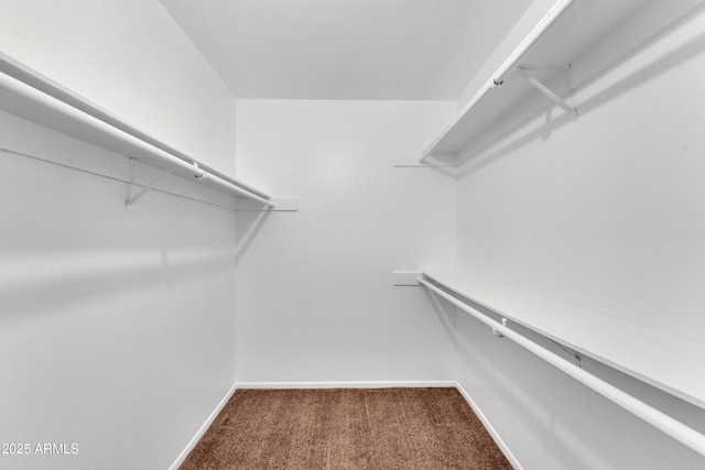 4836 W Rose Ln, Glendale, AZ 85301 - walk in closet with dark carpet