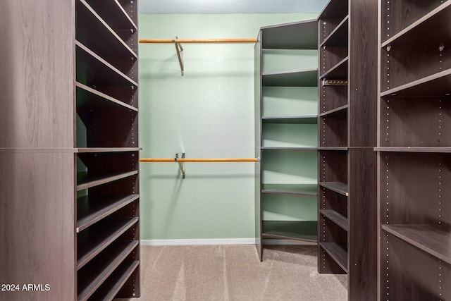 walk in closet featuring light colored carpet