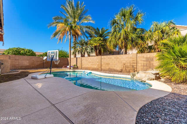 view of pool featuring a patio area