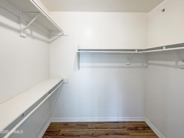 walk in closet with dark wood finished floors