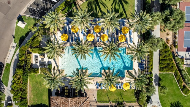805 E Ln Palta St, Queen Creek, AZ 85140 - drone / aerial view