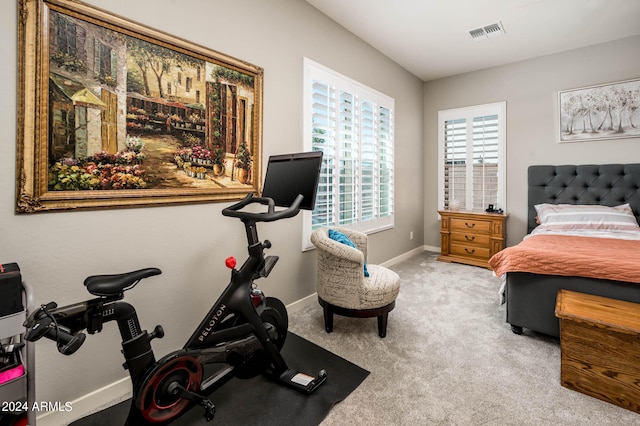 exercise room featuring light colored carpet