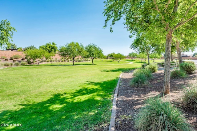 view of property's community with a yard