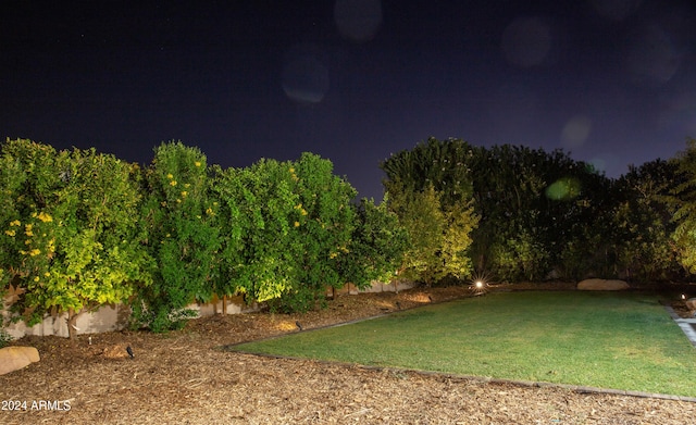 view of yard at night