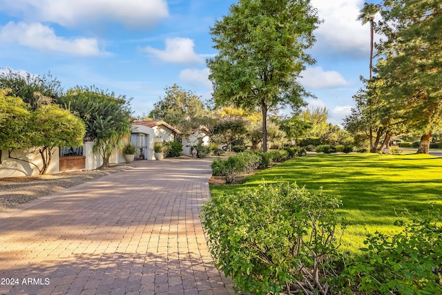 view of home's community featuring a lawn