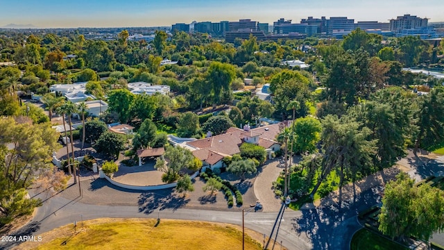 bird's eye view