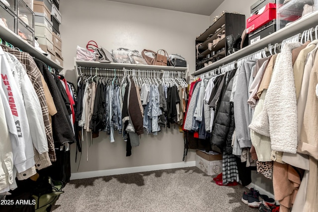 walk in closet with carpet flooring