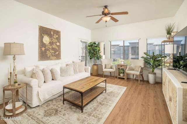 living room featuring ceiling fan and light hardwood / wood-style floors