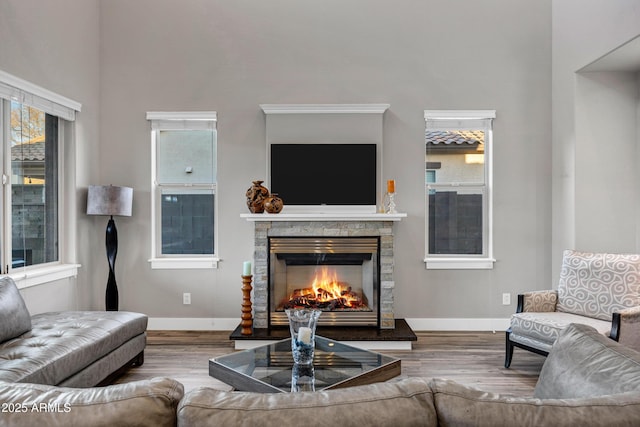 living room with wood-type flooring and a fireplace