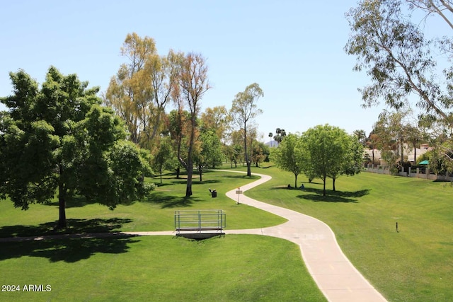 view of community with a lawn