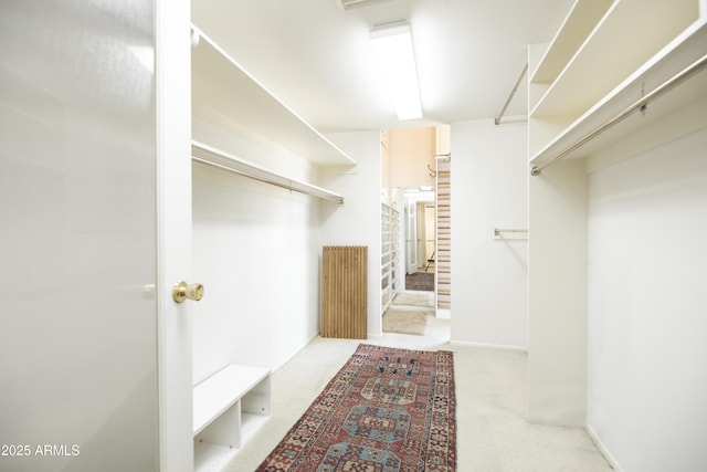 spacious closet with carpet floors