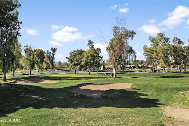 view of community with a lawn