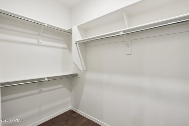 spacious closet featuring dark wood-type flooring