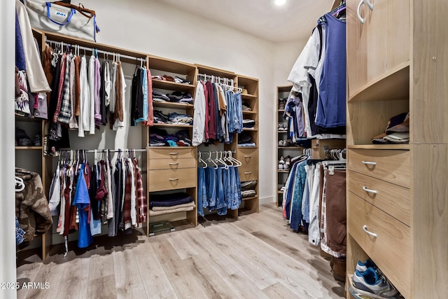 walk in closet with light wood-type flooring