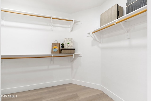 spacious closet featuring wood finished floors