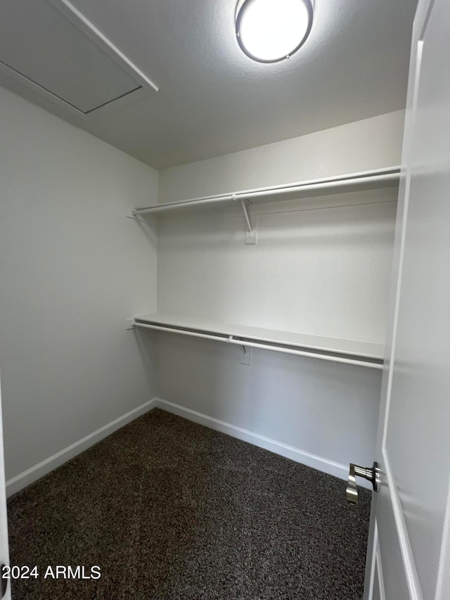 walk in closet featuring carpet