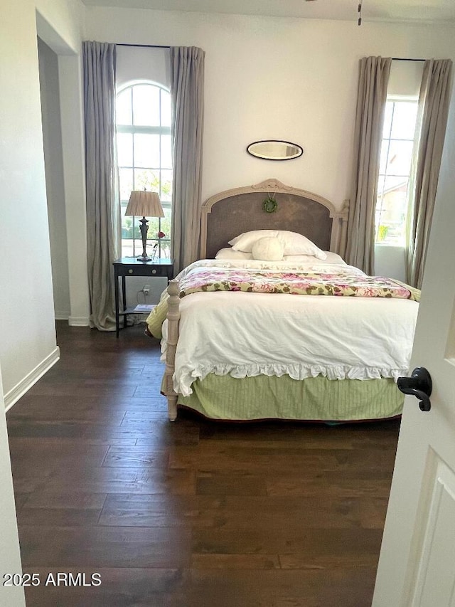 20502 W Ridge Rd, Buckeye, AZ 85396 - bedroom featuring multiple windows and dark wood-style flooring