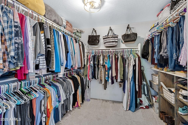 walk in closet featuring carpet