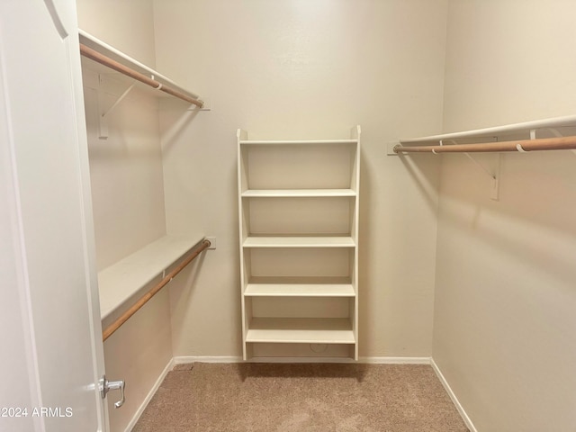 walk in closet with light carpet