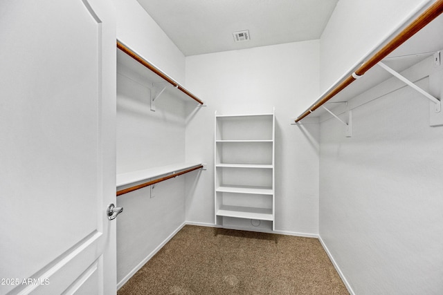 walk in closet with carpet floors