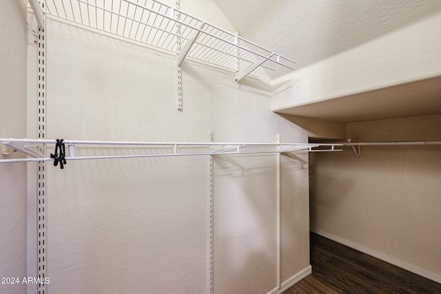 walk in closet featuring dark hardwood / wood-style flooring