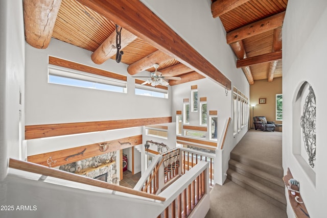 stairs with ceiling fan, carpet floors, a healthy amount of sunlight, wooden ceiling, and beam ceiling