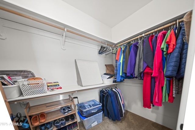 spacious closet featuring carpet