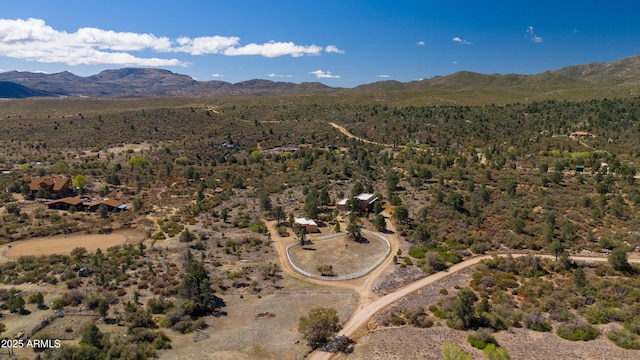 drone / aerial view featuring a mountain view
