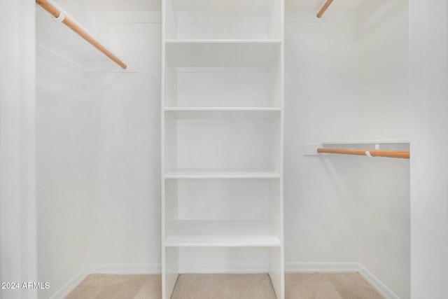 walk in closet with light colored carpet