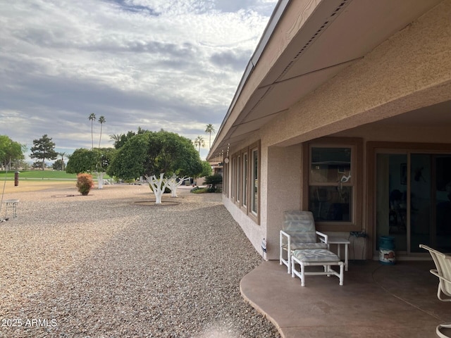 view of yard featuring a patio area