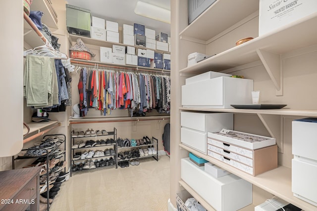 spacious closet featuring carpet