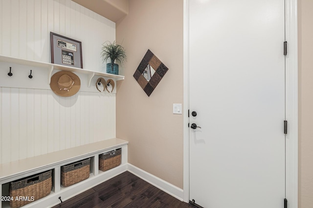 mudroom featuring dark hardwood / wood-style flooring