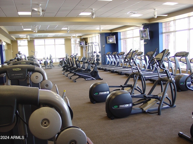 workout area featuring plenty of natural light and a drop ceiling