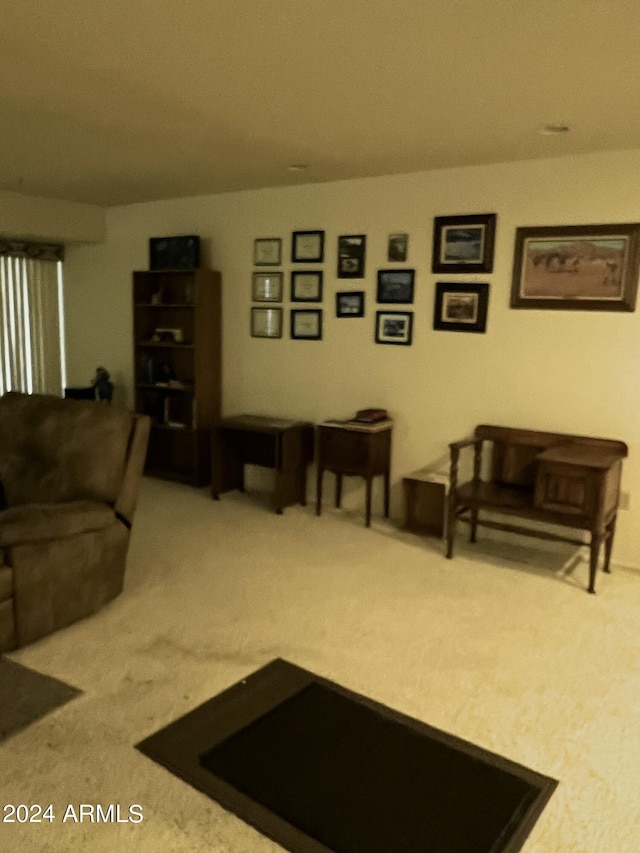 living area featuring carpet